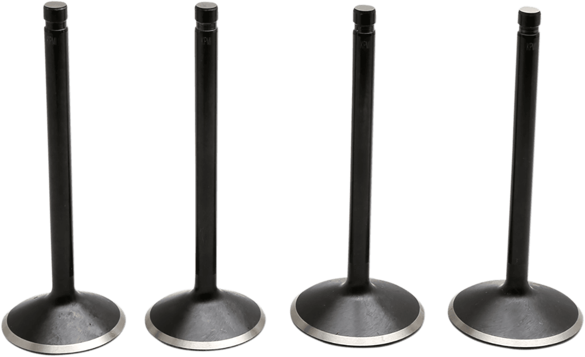 Black Diamond™ Engine Valve Kit — Twin Cam