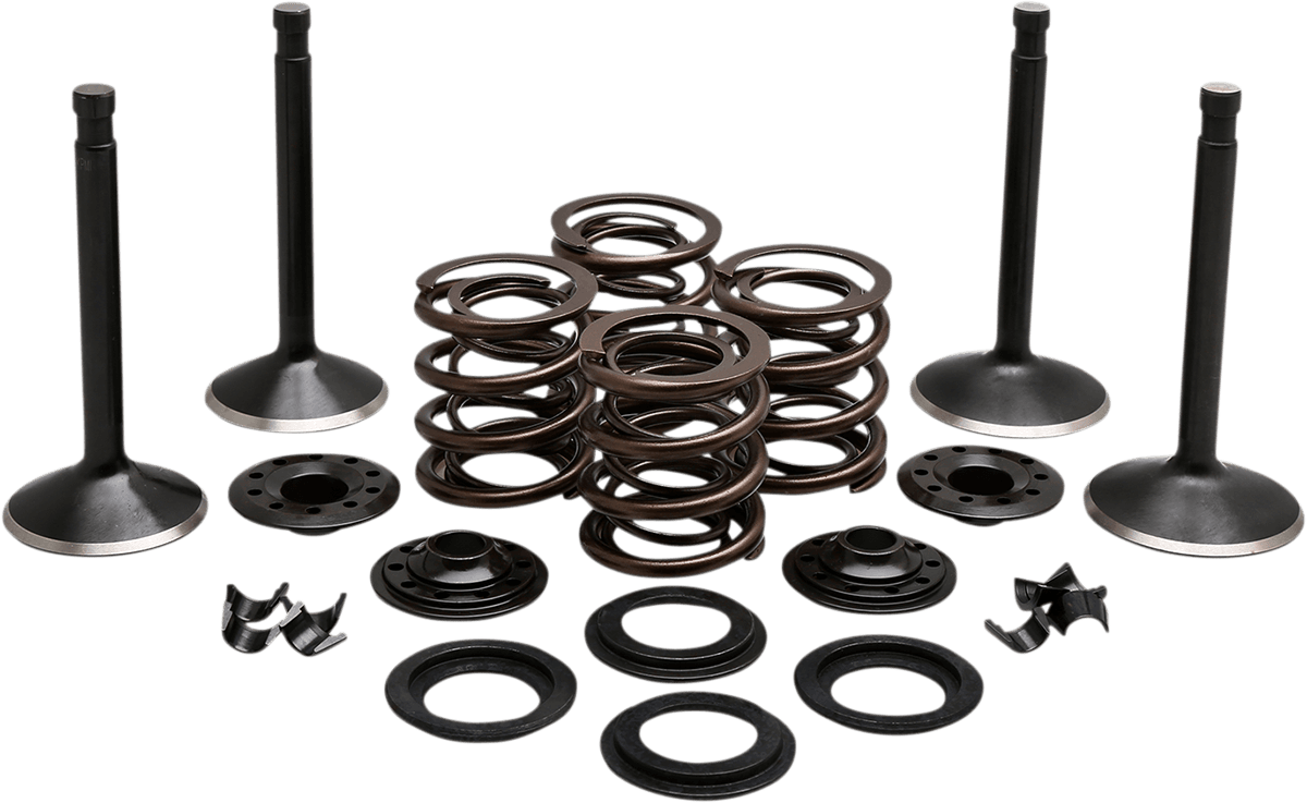 Engine Valve Kit — Knucklehead