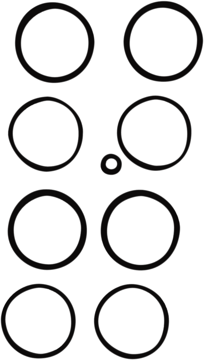Caliper Seal Kit — 1200 XLCP, 883 EFI XL, CVO Road King FLHRSE +68 more 2006-2021