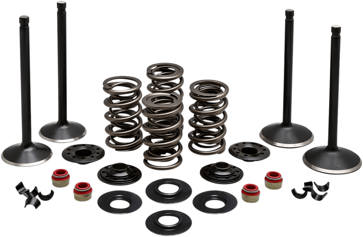 Engine Valve Kit — Twin Cam