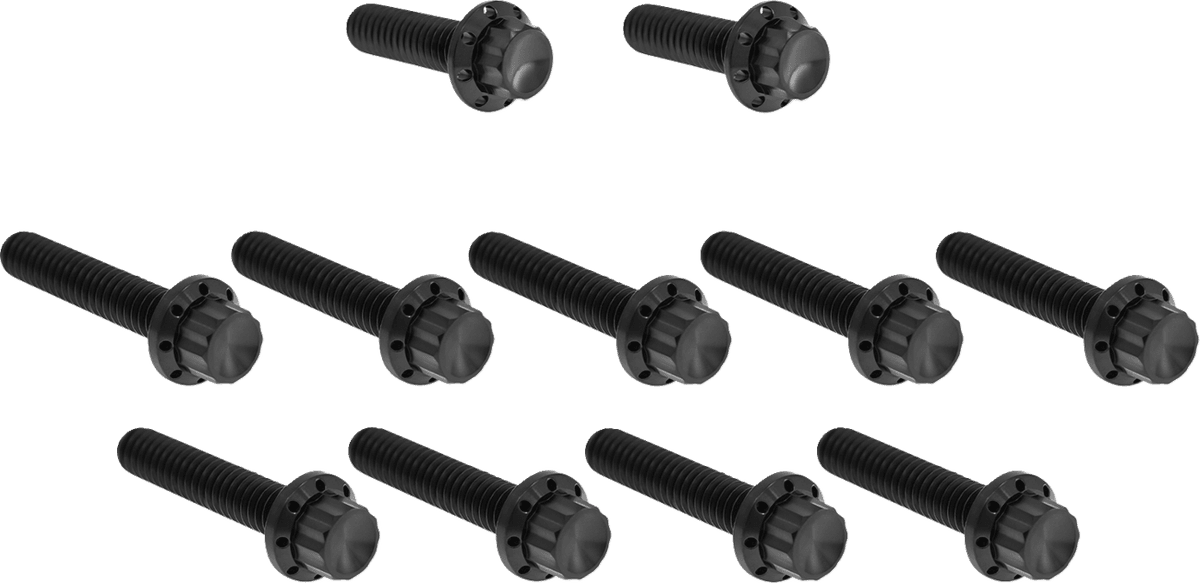 Cam Cover/Point Cover Titanium 12-Point Bolt Kit — FLHX Street Glide, FLHXSE CVO Street Glide, FLHXU Street Glide Ultra +16 more 2023-2025