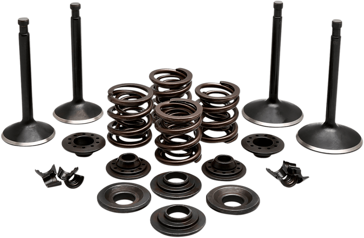 Engine Valve Kit — Sportster