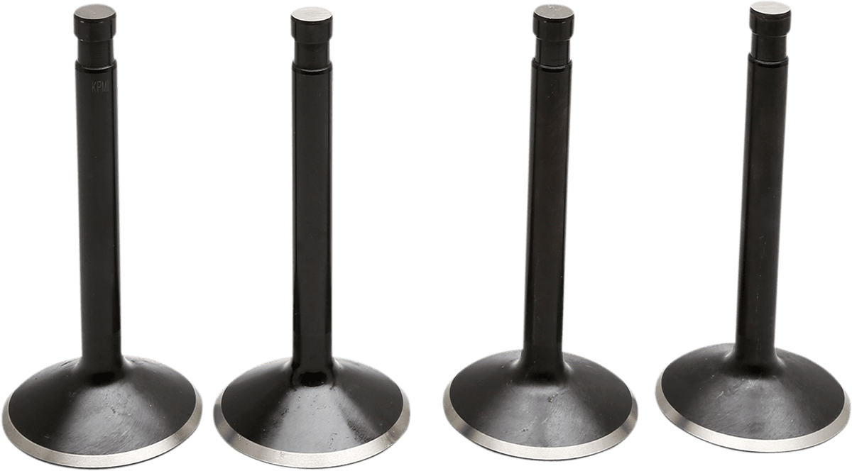 Black Diamond™ Engine Valve Kit — Panhead