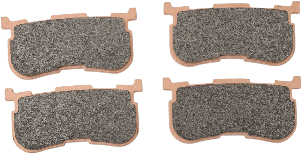 HLS Street Excel Sintered Rear Brake Pads — FLHTCUTG Tri Glide Ultra, FLRT Freewheeler 2014-2018