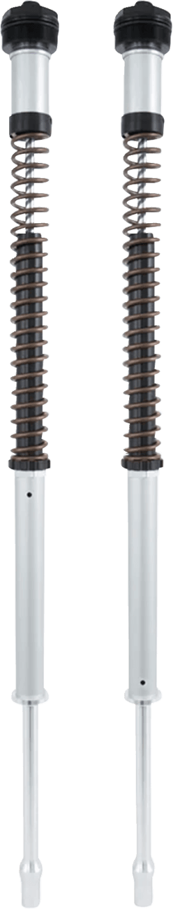 Fork Cartridge Kit — FLFB Fat Boy 107, FLFBS Fat Boy 114 2018-2023
