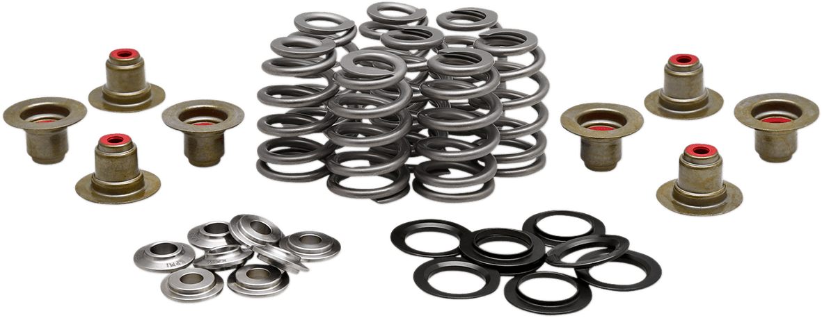 Beehive Valve™ Spring Kit — M8