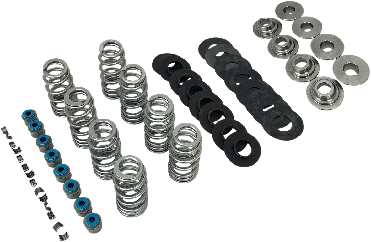 Endurance Beehive® Valve Spring Kit — Electra Glide Police  FLHTPI, FLDE Deluxe 107, FLFB Fat Boy 107 +47 more 2017-2024