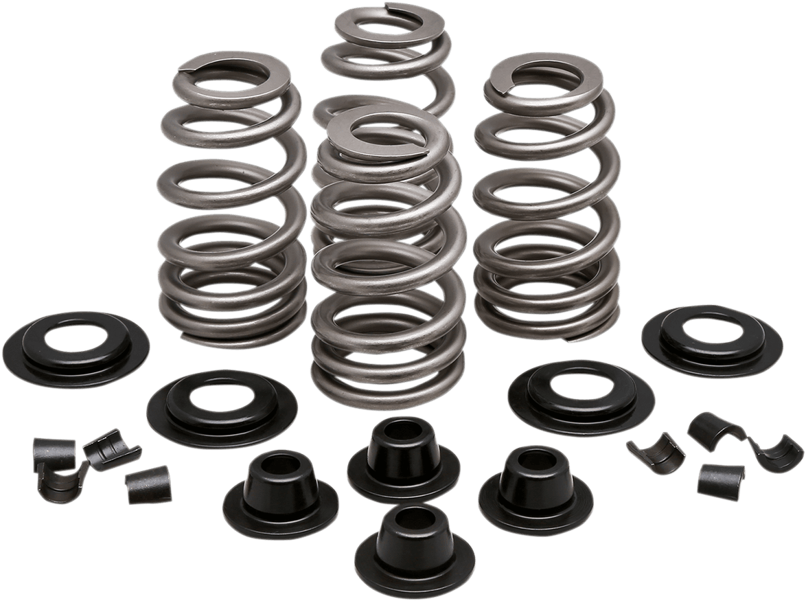 Beehive Valve™ Spring Kit — Sportster