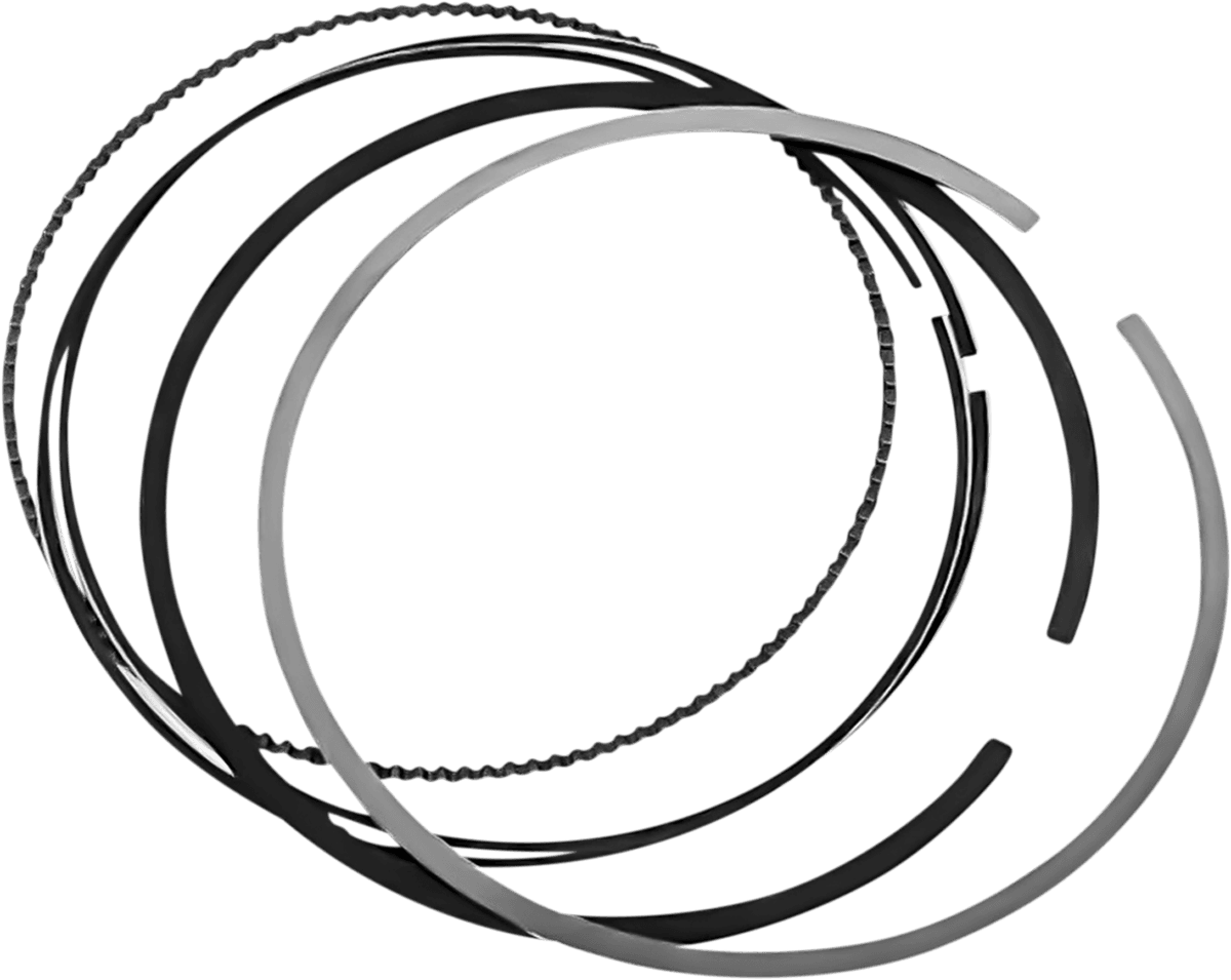Replacement Piston Ring Set — 113"