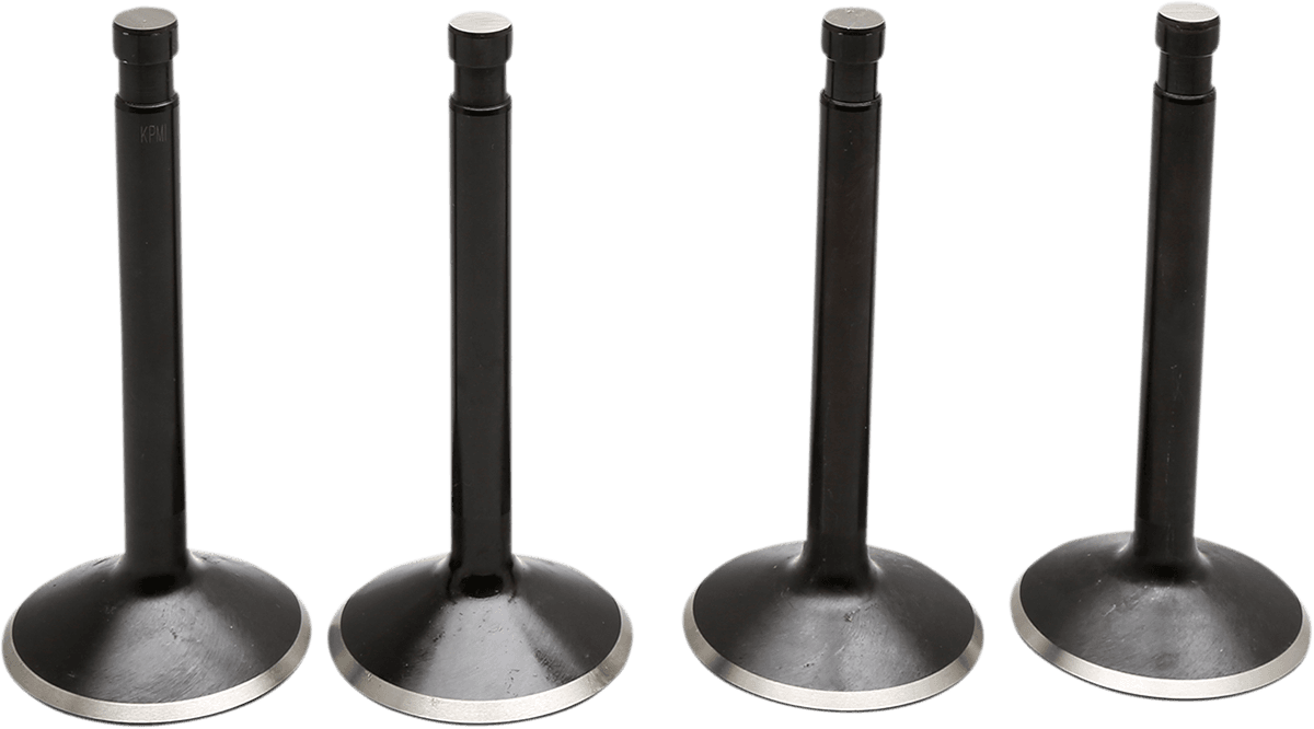 Black Diamond™ Engine Valve Kit — Knucklehead