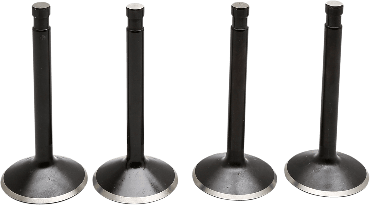 Black Diamond™ Engine Valve Kit — Shovelhead