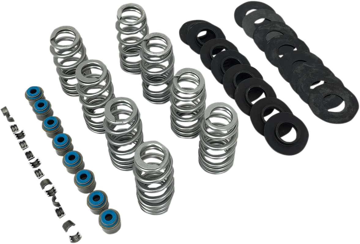Endurance Beehive® Valve Spring Kit — Electra Glide Police  FLHTPI, Electra Glide Police FLHTP, FLDE Deluxe 107 +60 more 2017-2025