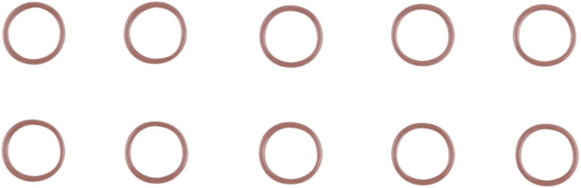 O-Ring - 10 Pack
