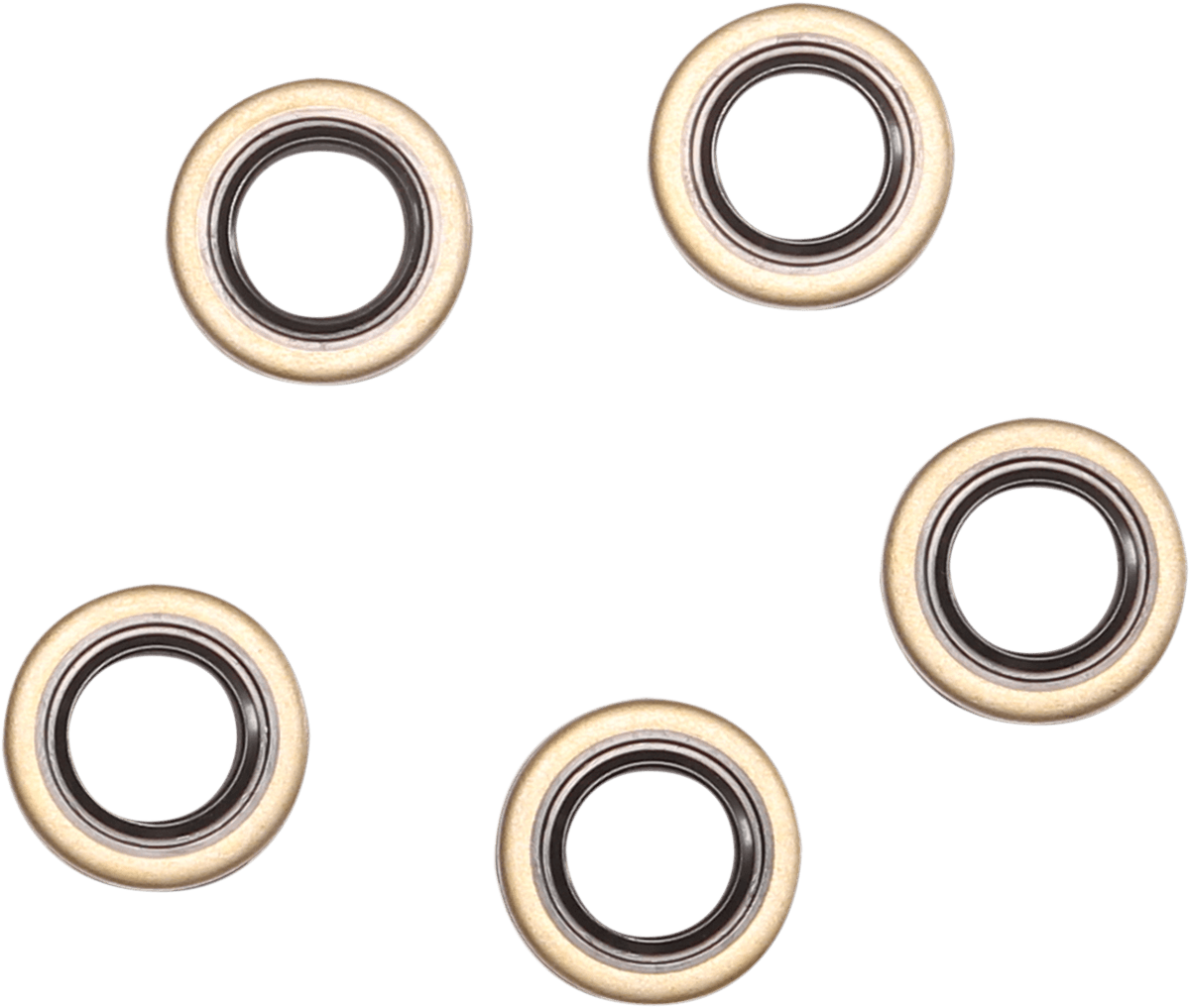 Double Lip Seal