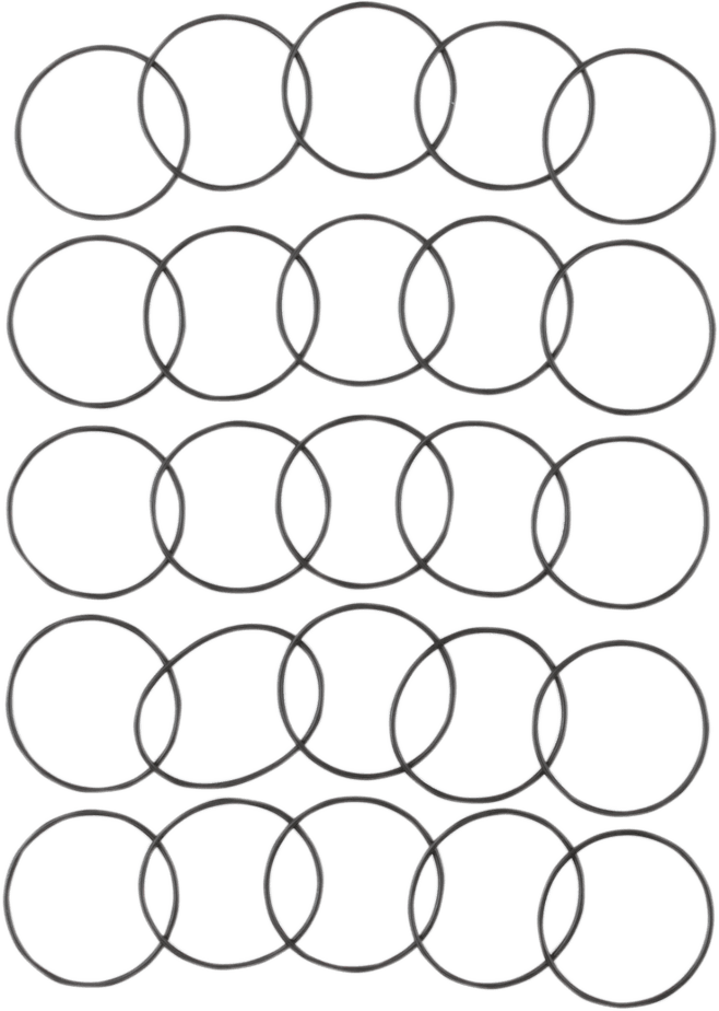 Starter Housing O-Ring Pack - EVO - 25 Pack