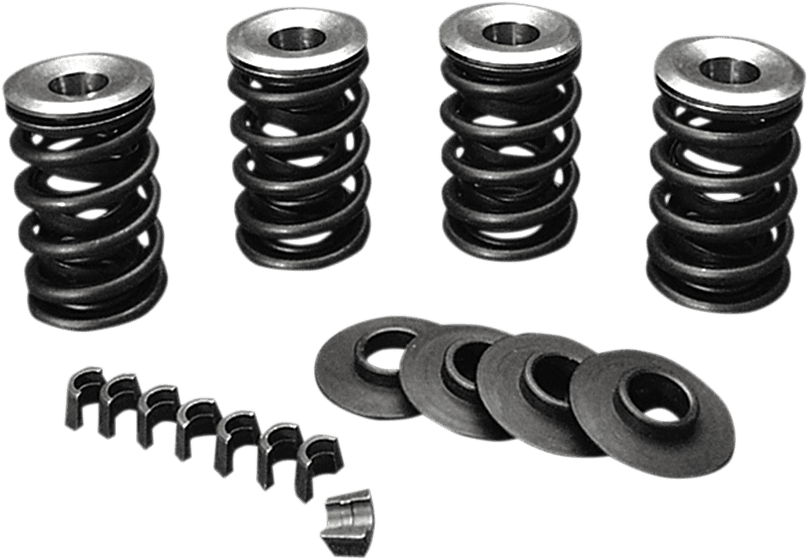 Valve Spring Kit - Evolution - Big Twin