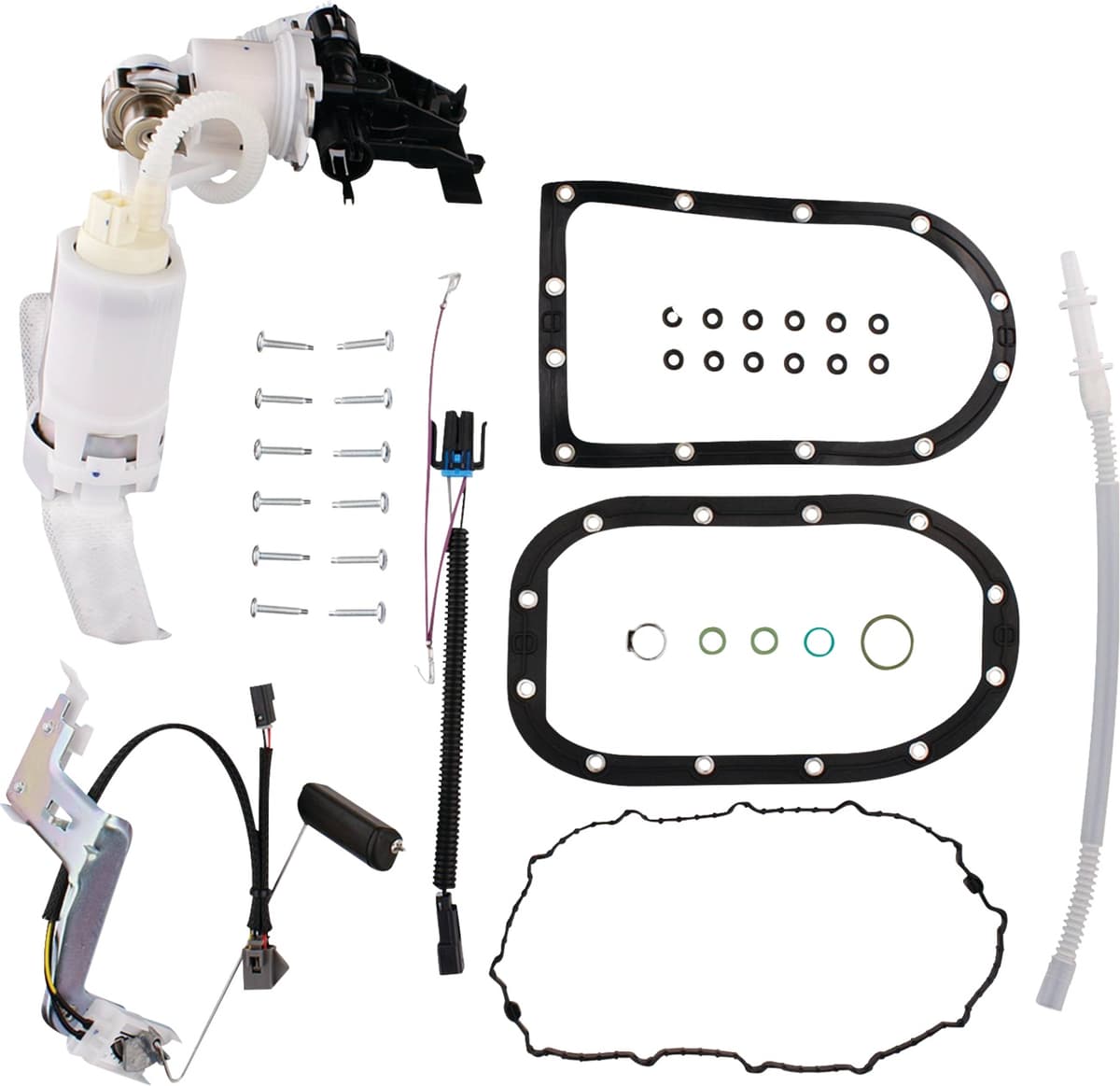 Fuel Pump Module Assembly - Dyna