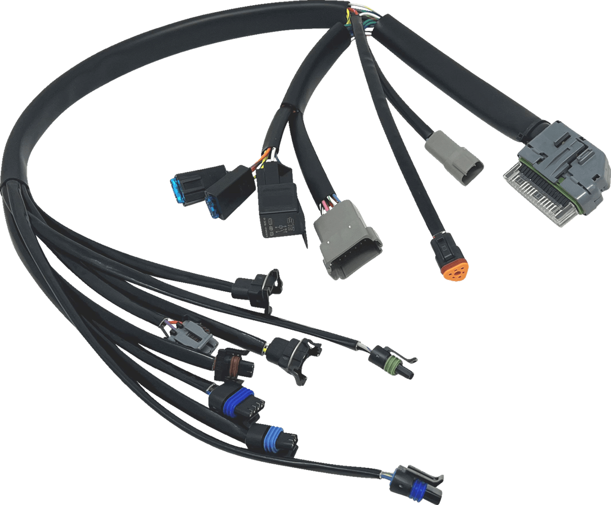EFI Harness - '04-'05 FLH/FLT