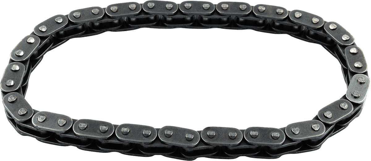Cam Chain - Primary - Big Twin - '07-'25