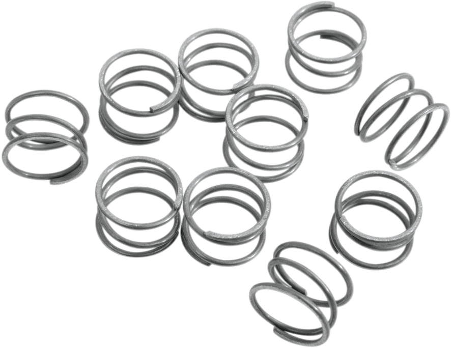 Rocker Arm Shaft Springs