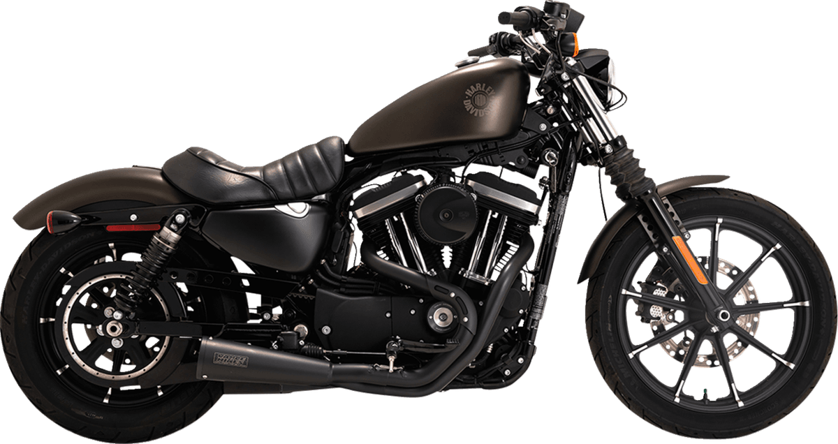 Upsweep 2-into-1 Exhaust System